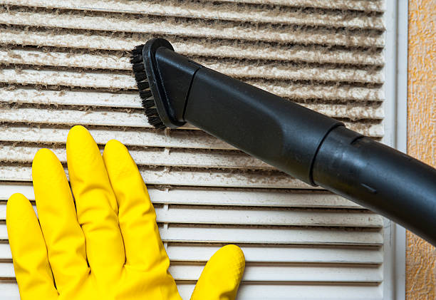 Best Professional Duct Cleaning Services  in Lincoln Park, MI